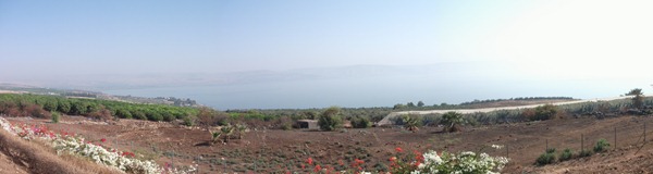 The view of the Sea of Galilee from the top of the Mount of Beatitudes. Sort of makes you want to sit down and say some things that will fundamentally altar the course of civilization, doesn't it?