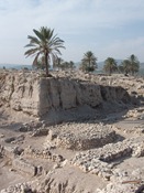 A Canaanite worship site dating to around 3000 BCE, uncovered on Mt. Megiddo.