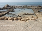 The remains of Herod's swimming pool. I guess all those oceanside hotels that have pools in them aren't crazy, just following time-honored traditions.