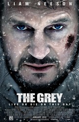 Grey-Poster
