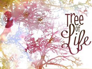Tree of Life Pic Jesus' Resurrection opened up the Tree of Life to us once more. But what's all that fruit FOR?