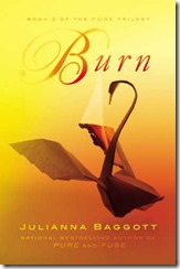 Click to check out BURN on Amazon
